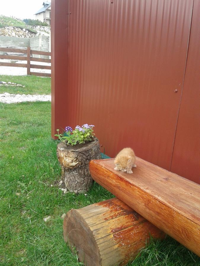 Gasthaus Boskovica Brvnare Žabljak Exterior foto