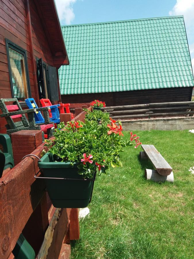 Gasthaus Boskovica Brvnare Žabljak Exterior foto
