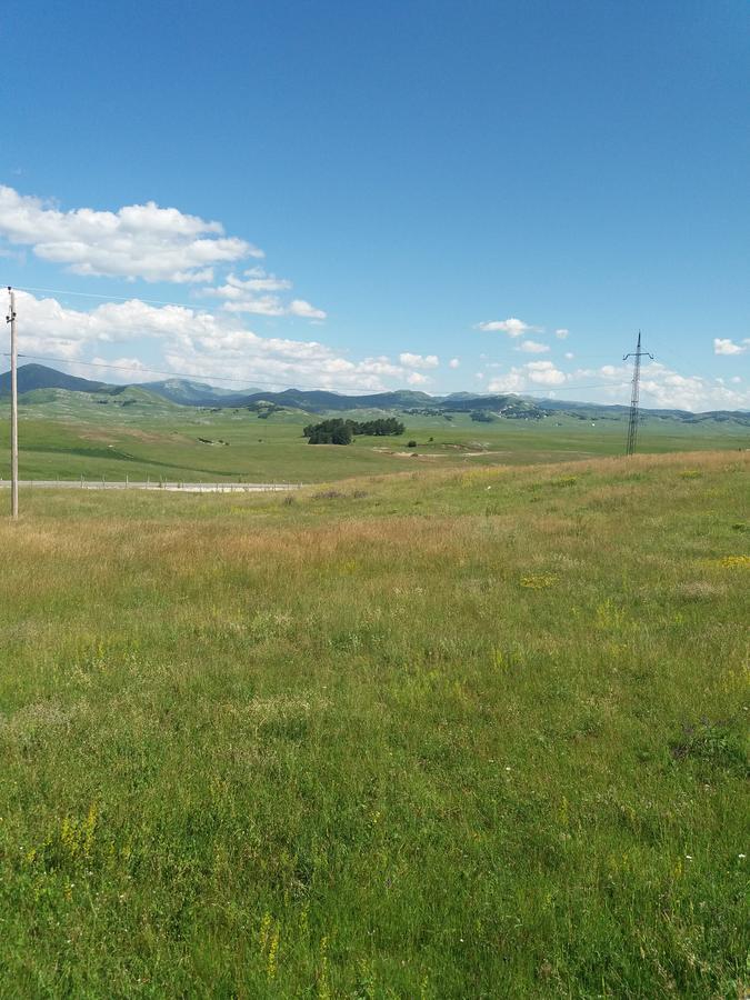 Gasthaus Boskovica Brvnare Žabljak Exterior foto